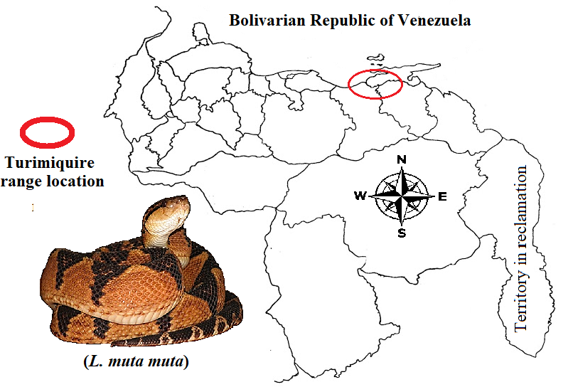 Cuaima Distribution