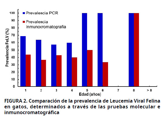 Imagen de portada