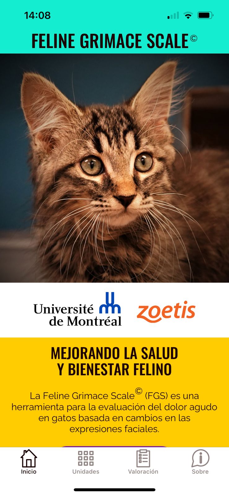 Imagen de portada