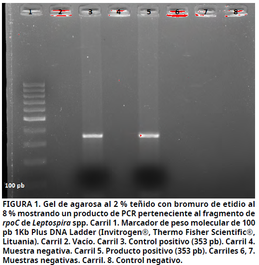 Imagen de portada