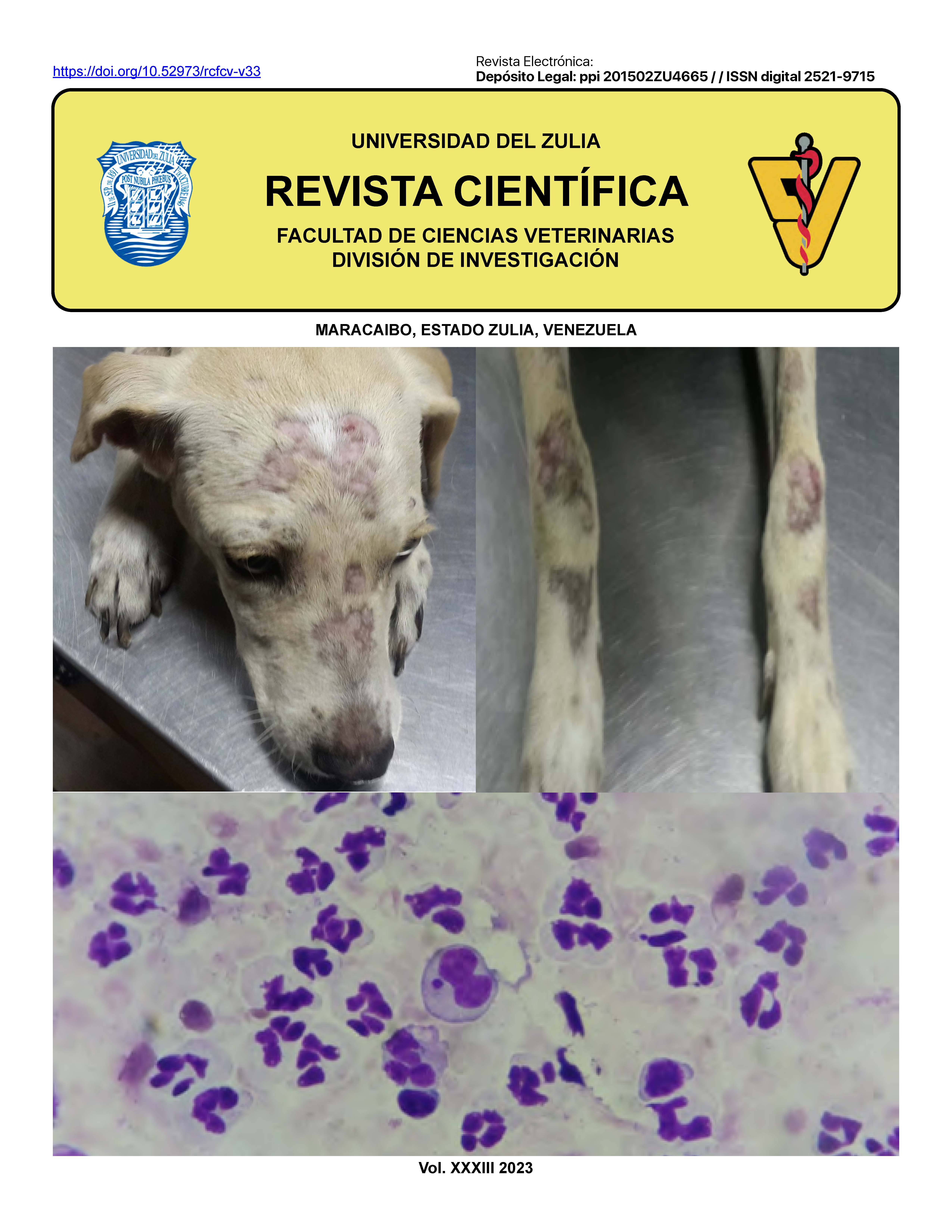 Imagen de portada