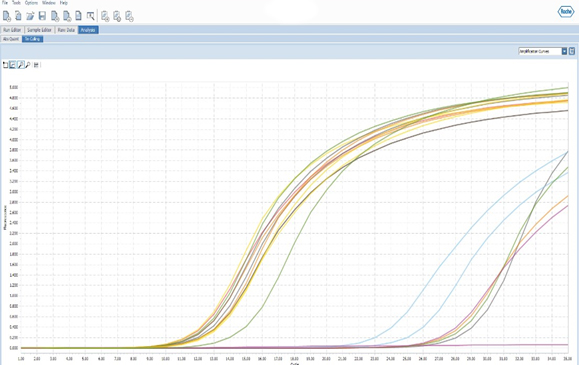 Real time PCR Plot