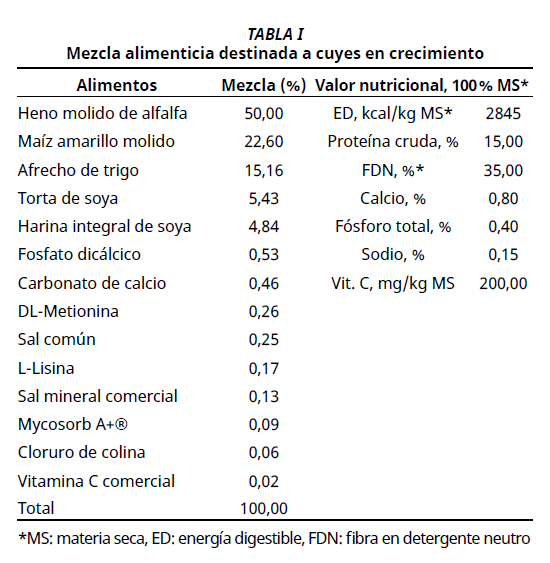 Imagen de portada