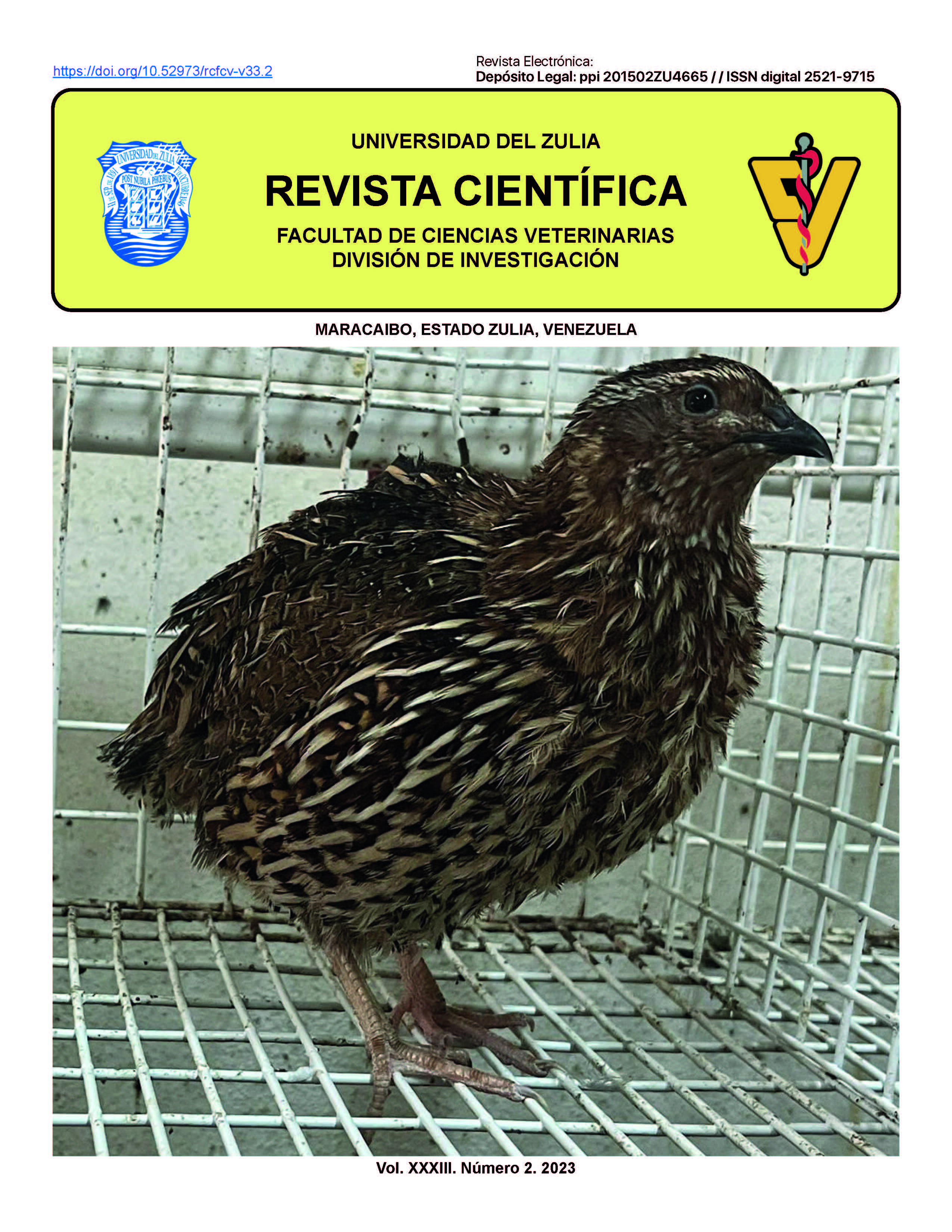 Imagen de portada