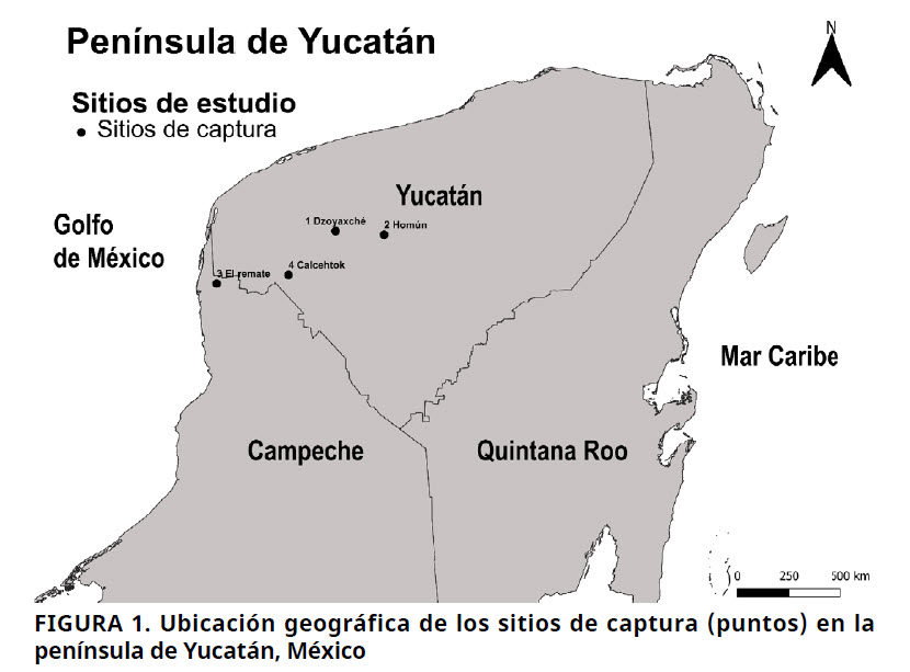 Imagen de portada
