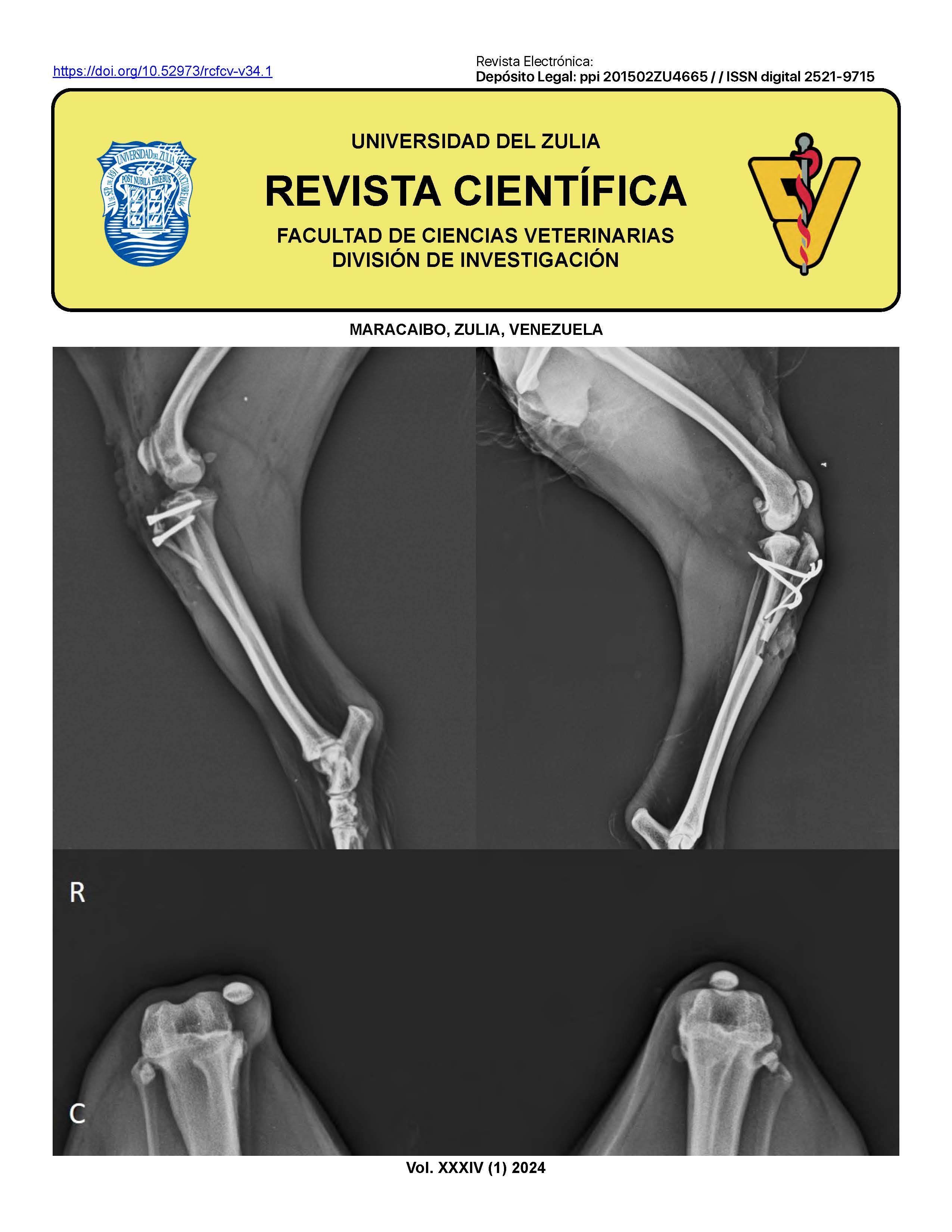 Imagen de portada