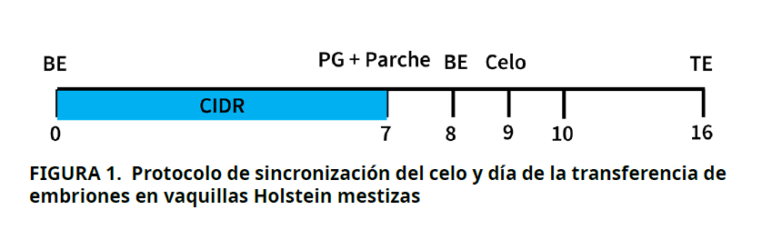 Imagen de portada