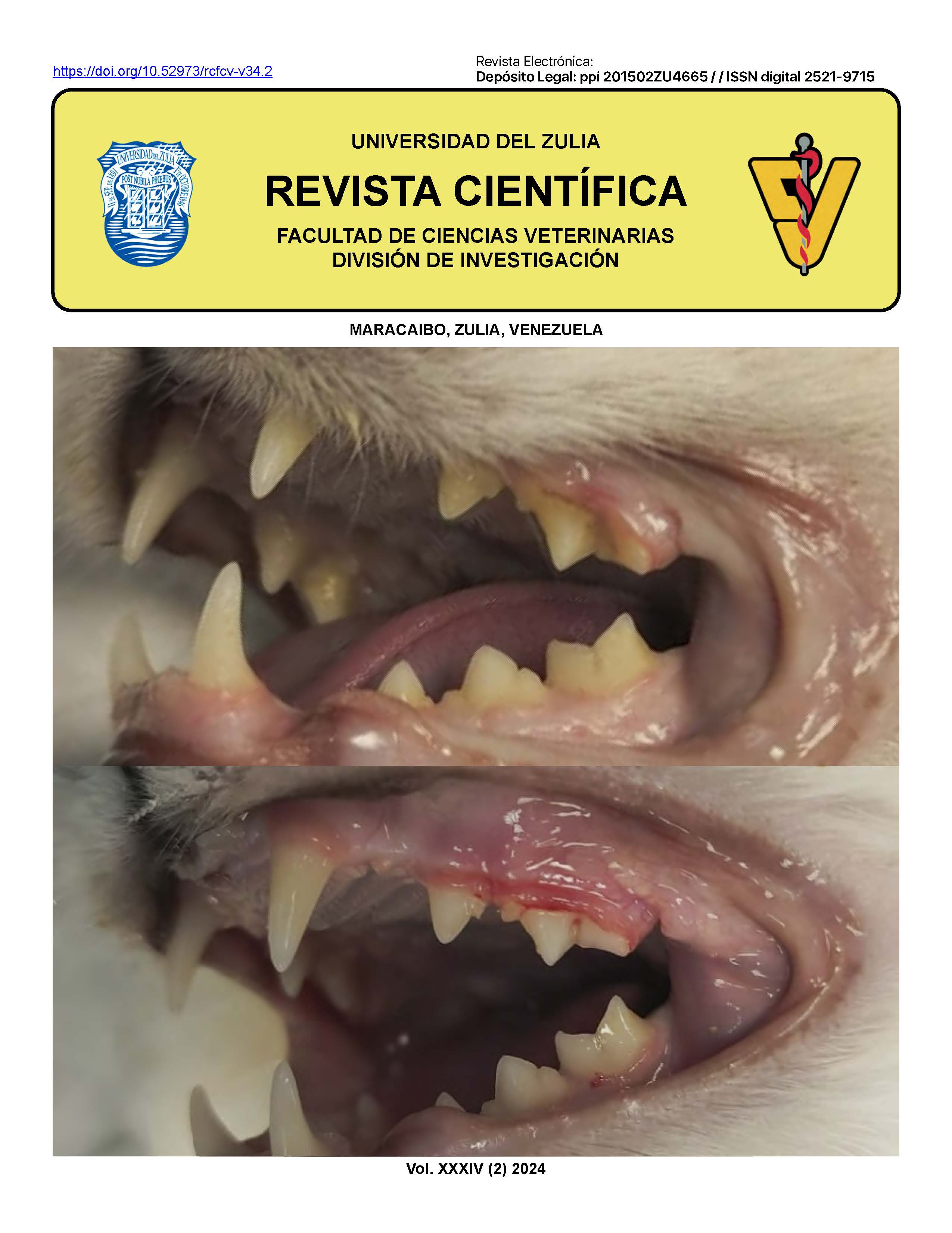 Imagen de portada