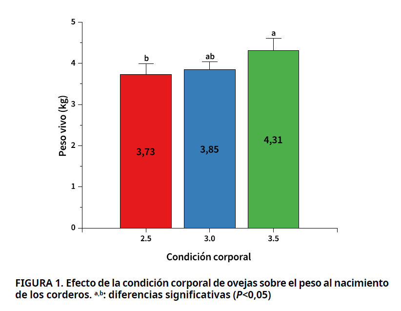 Imagen de portada
