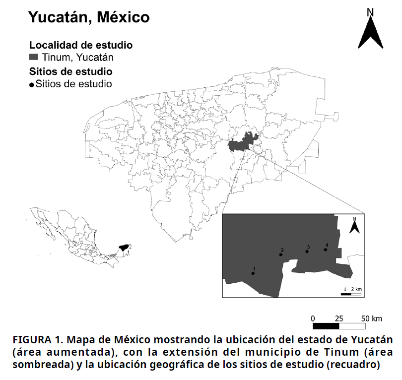 Imagen de portada