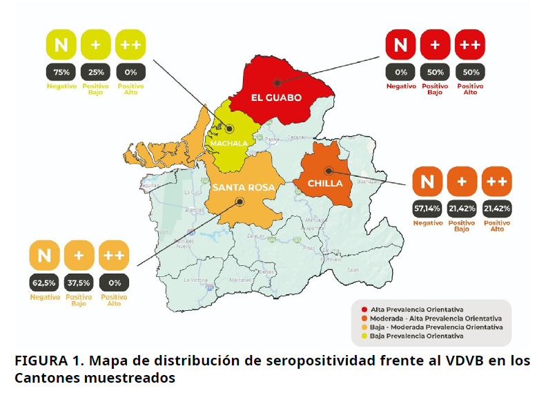 Imagen de portada