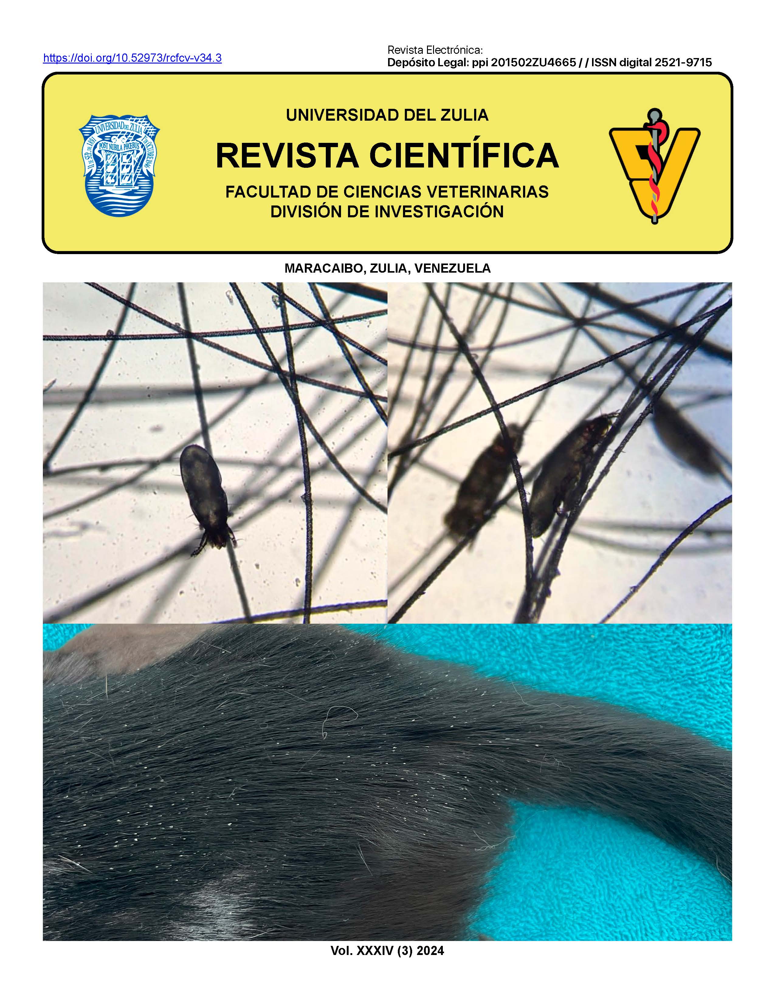 Imagen de portada