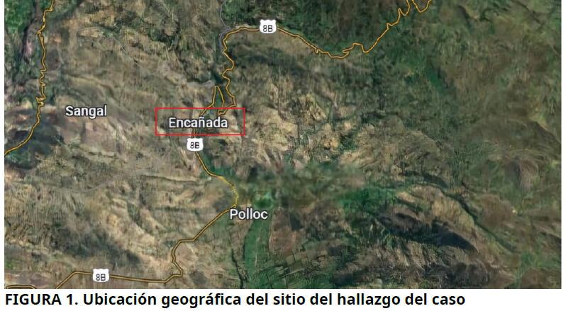 Imagen de portada