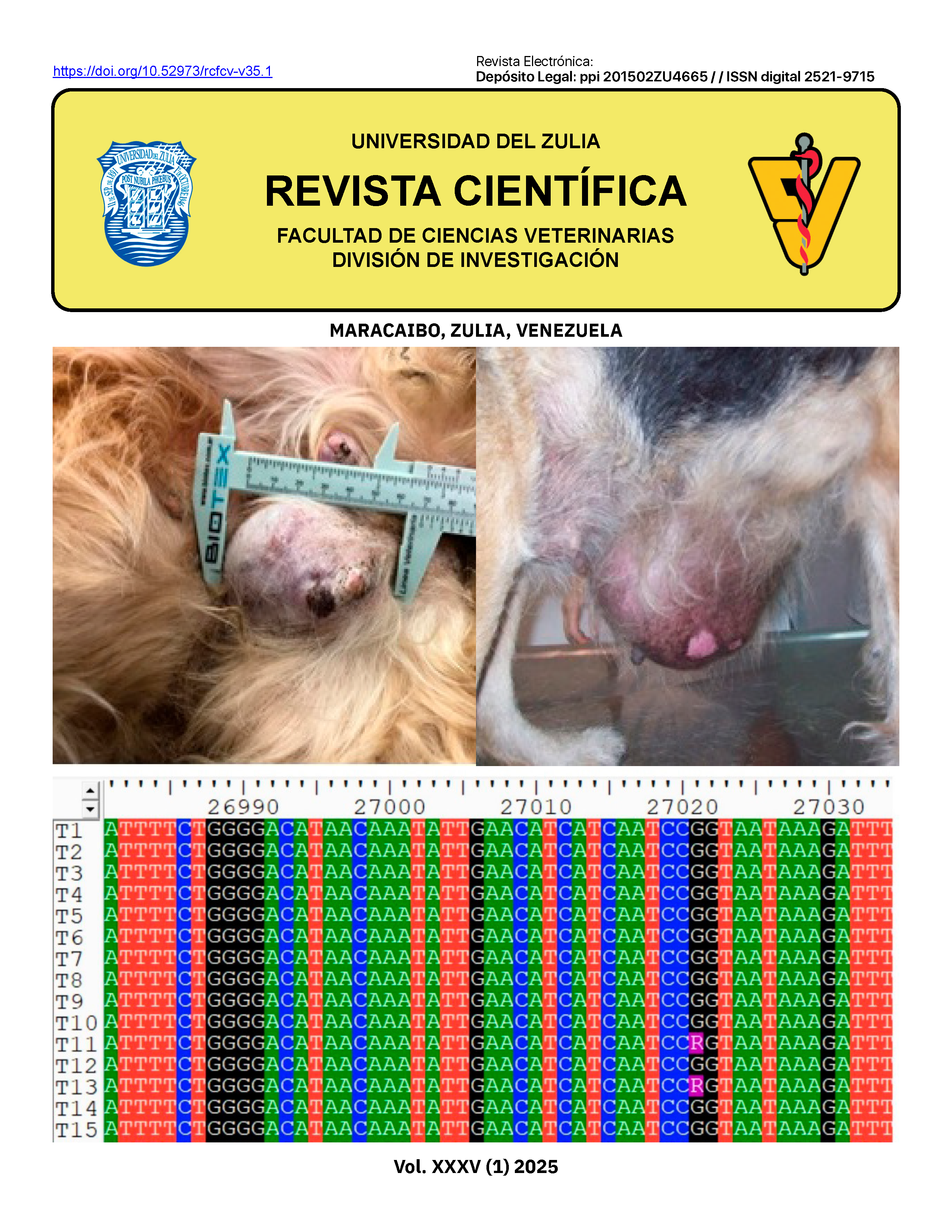 Imagen de portada