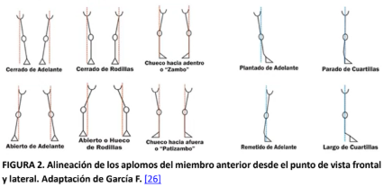 Imagen de portada
