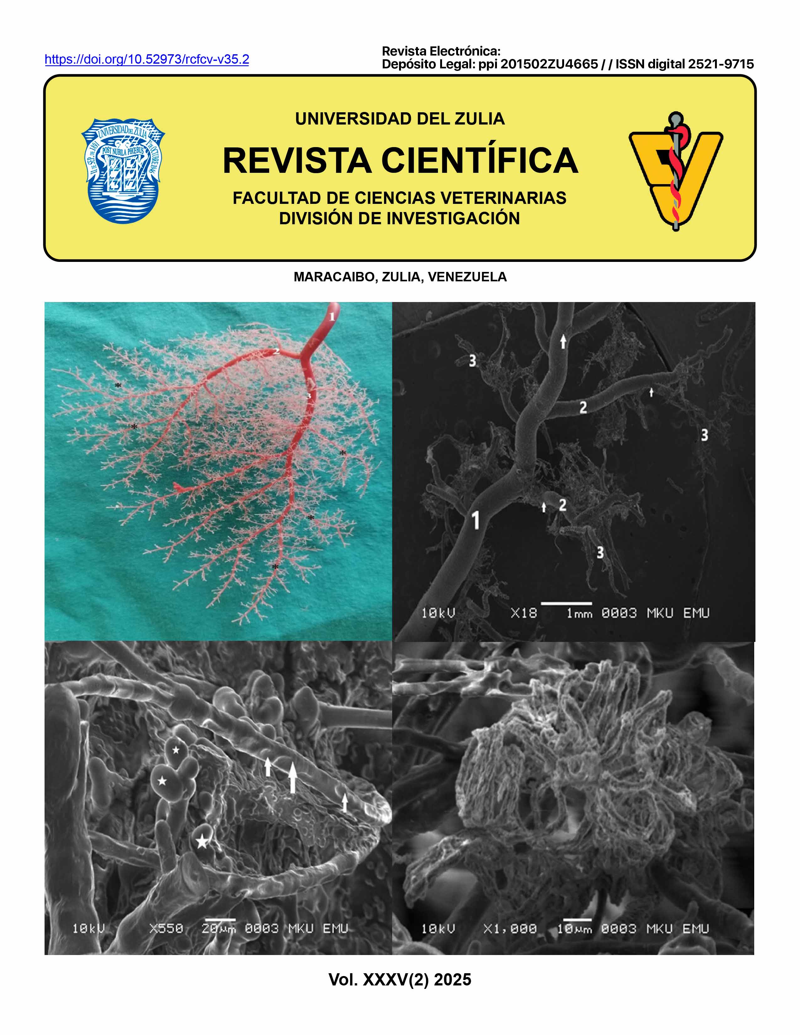 Imagen de portada