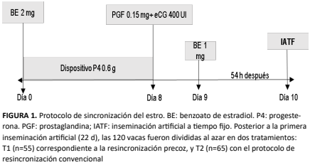Imagen de portada