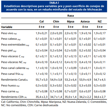 Imagen de portada