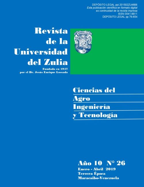 Revista 26