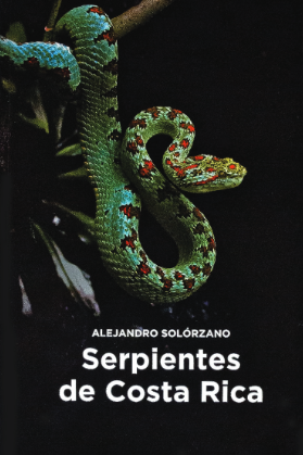 Imagen de portada