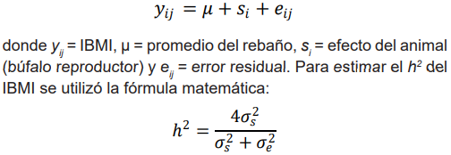 2025-01-27_12-36-39.png
