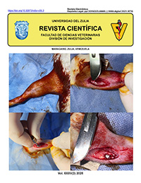 PORTADA_200.jpg